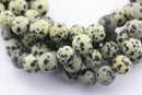 dalmatian jasper matte round beads