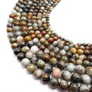 Multi-Color Eagle Hawk's eye smooth round beads