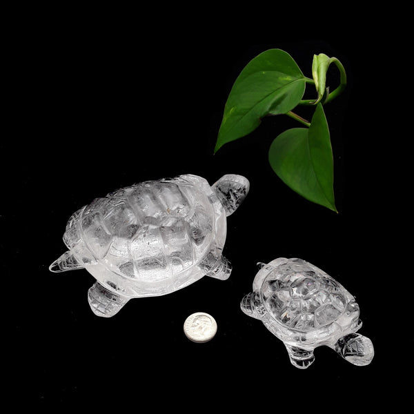 Clear Quartz Crystal Hand Carved Polished Gemstone Turtle Approx 4-5" Inches
