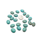 Blue Howlite Turquoise Oval Cabochon 12x16mm 20pcs Per Bag