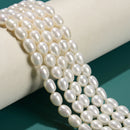 Natural Grade A Fresh Water Pearl Rice Shape Beads 6x8mm 7x8mm 14.5'' Strand