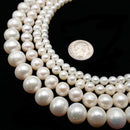 White Fresh Water Pearl Off Round Potato Beads 5-5.5mm 6mm 8mm 10mm 15.5" Strand