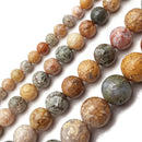 Natural Ocean Agate Smooth Round Beads 6mm 8mm 10mm 12mm 15.5" Strand
