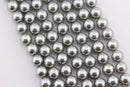 Silver Shell Pearl Smooth Round Beads 4mm 6mm 8mm 10mm 15.5" Strand