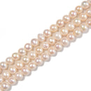 Nucleated Fresh Water Akoya Pearl Potato Beads Size 6-7mm 15.5'' Strand