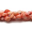 Pink Bamboo Coral Faceted Coin Beads Size 8mm 10mm 12mm 14mm 15.5" Strand