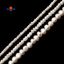 Fresh Water Pearl White Potato Rondelle Button Beads 2x3mm 3x4mm 5x6mm 15.5" Strand
