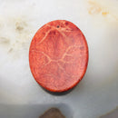 sponge coral hand carved dragon pendant
