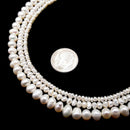 Fresh Water Pearl White Potato Rondelle Button Beads 2x3mm 3x4mm 5x6mm 15.5" Strand