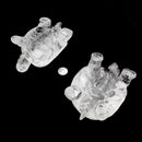 Clear Quartz Crystal Hand Carved Polished Gemstone Turtle Approx 4-5" Inches