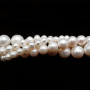 White Fresh Water Pearl Off Round Potato Beads 5-5.5mm 6mm 8mm 10mm 15.5" Strand