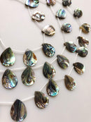 natural abalone teardrop shape beads