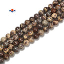 Natural Coffee Ocean Fossil Jasper Smooth Round Beads Size 6mm 8mm 15.5'' Strand