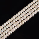 White Fresh Water Pearl Rondelle Beads Size 3x5mm 4x6mm 5x7mm 15.5'' Strand
