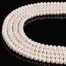 White Fresh Water Pearl Rondelle Beads Size 3x5mm 4x6mm 5x7mm 15.5'' Strand