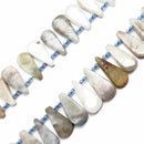 aquamarine graduated smooth flat teardrop beads