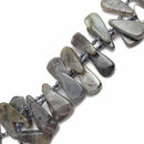 labradorite graduated smooth flat teardrop beads