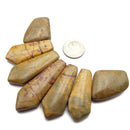 Natural Autumn Jasper Graduated Arrow Shape Set Size Approx 16x35mm-16x45mm