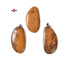 Yellow Fireworks Jasper Flat Back Bean Shape Pendant Size 35x60mm Sold per Piece