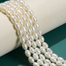 Natural Grade A Fresh Water Pearl Rice Shape Beads 6x8mm 7x8mm 14.5'' Strand