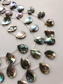 natural abalone teardrop shape beads