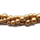 Gold Shell Pearl Matte Round Beads 6mm 8mm 10mm 15.5" Strand