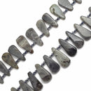 labradorite graduated smooth flat teardrop beads
