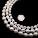 White Fresh Water Pearl Oval Rice Beads 6x8mm 7x9mm 8x10mm 10x11mm 15" Strand