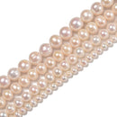 No.2 Fresh Water Pearl White Ringed Potato Round Beads 5mm - 15mm 15.5'' Strand