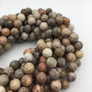 natural fossil coral faceted round beads