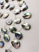 natural abalone teardrop shape beads