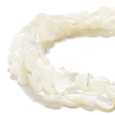 Iridescent White Mother of Pearl MOP Shell Heart Beads 6mm to 12mm 15.5'' Strand