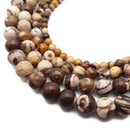 Natural African Zebra Jasper Smooth Round Beads 6mm 8mm 10mm 12mm 15.5" Strand