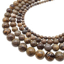 coffee bean jasper smooth round beads 