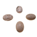 Fossil Coral Oval Cabochon Size 20x30mm 30x40mm Sold Per Piece