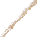 White Bamboo Coral Smooth Coin Shape Beads Size 4mm 15.5" Strand