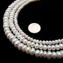 White Freshwater Pearl Rondelle Button Beads 3x5mm 4x6mm 5x7mm 5x8mm 15.5"Strand