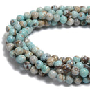 Blue Terra Robin's Egg Agate Smooth Round Size 8mm 10mm 15.5'' per Strand