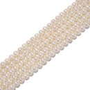 Fresh Water Pearl White Ringed Potato Round Beads Size 7-8mm 15.5'' Strand