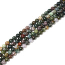 Indian Agate Smooth Round Beads 4mm 6mm 8mm 10mm Approx 15.5" Strand