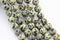 dalmatian jasper matte round beads 