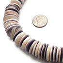 Graduated Purple White Conch Shell Flat Rondelle Discs Beads 8-15mm 15.5" Strand