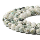 Natural Dendritic Green Agate Smooth Round Beads Size 6mm 8mm 10mm 15.5'' Strand