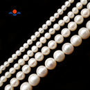 Fresh Water Pearl White Off Round Potato Beads 5mm 6mm 7mm 8mm 10mm 15.5" Strand