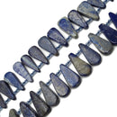 Lapis Lazuli Graduated Smooth Flat Teardrop Beads 30-40mm 15.5" Strand