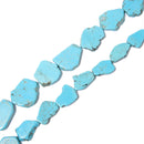 Light Blue Magnesite Turquoise Freeform Slice Beads 20x25mm 25x30mm 15.5'' Strd