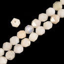 2.0mm Hole White Moonstone Star Cut Beads Size 8mm 8 '' Strand