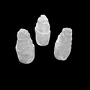 natural white selenite small tower inches light not included