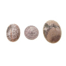 Fossil Coral Oval Cabochon Size 20x30mm 30x40mm Sold Per Piece