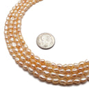 Peach Pink Fresh Water Pearl Keshi Rice Nugget Beads 4x5mm 15.5" Strand